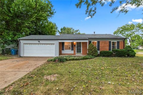 541 White Birch Way Hazelwood MO 63042