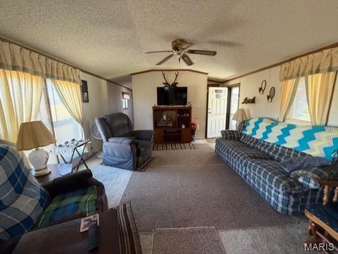 Tiny photo for 888 Highway UU, Poplar Bluff, MO 63901 (MLS # 26018774)