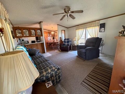 Tiny photo for 888 Highway UU, Poplar Bluff, MO 63901 (MLS # 26018774)