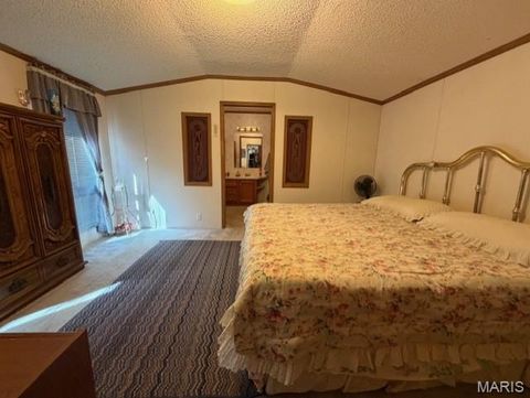 Tiny photo for 888 Highway UU, Poplar Bluff, MO 63901 (MLS # 26018774)