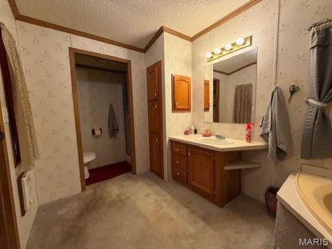 Tiny photo for 888 Highway UU, Poplar Bluff, MO 63901 (MLS # 26018774)