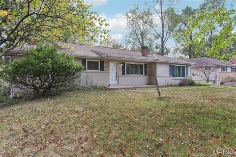 Tiny photo for 512 Bryan Avenue, Kirkwood, MO 63122 (MLS # 25071216)