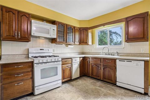 Tiny photo for 512 Bryan Avenue, Kirkwood, MO 63122 (MLS # 25071216)