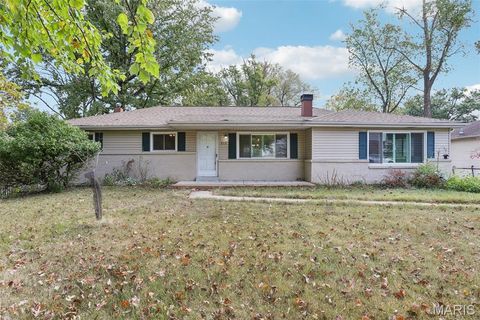 Photo of 512 Bryan Avenue, Kirkwood, MO 63122 (MLS # 25071216)