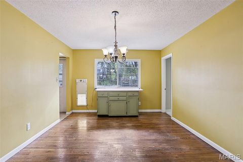 Tiny photo for 512 Bryan Avenue, Kirkwood, MO 63122 (MLS # 25071216)