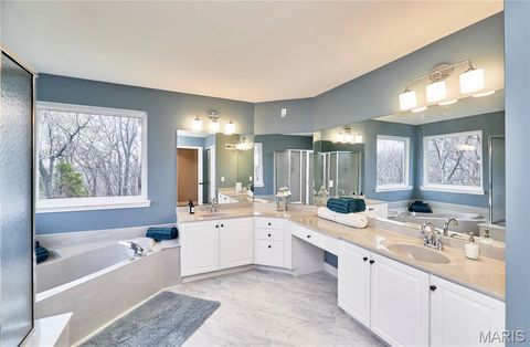 Tiny photo for 1008 Sheffield Forest Drive, Wildwood, MO 63021 (MLS # 26021919)