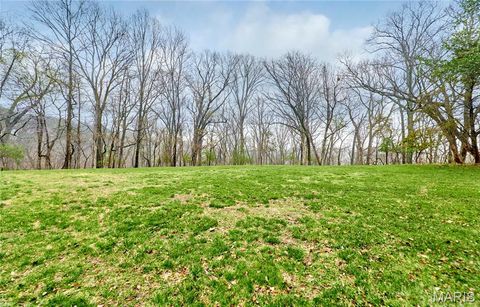 Tiny photo for 1008 Sheffield Forest Drive, Wildwood, MO 63021 (MLS # 26021919)