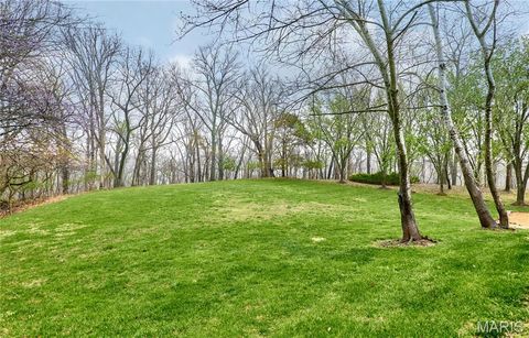 Tiny photo for 1008 Sheffield Forest Drive, Wildwood, MO 63021 (MLS # 26021919)