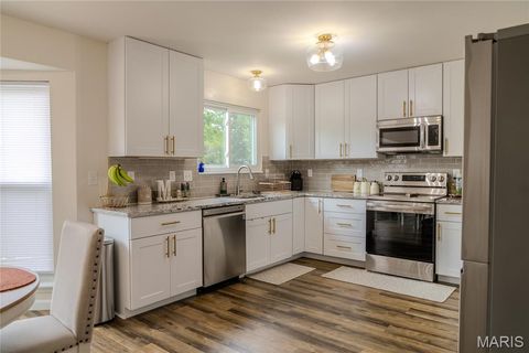 Tiny photo for 606 Spring Meadow Drive, Wentzville, MO 63385 (MLS # 26046107)