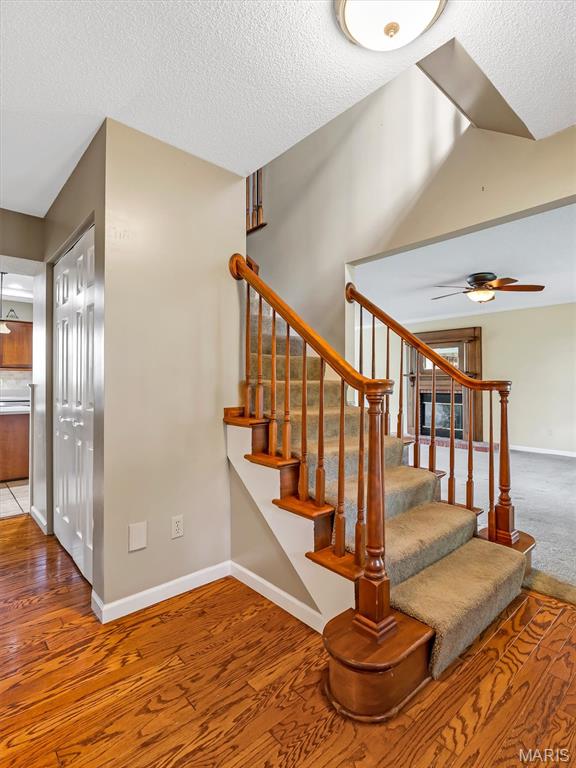 Dunklin Drive - Residential