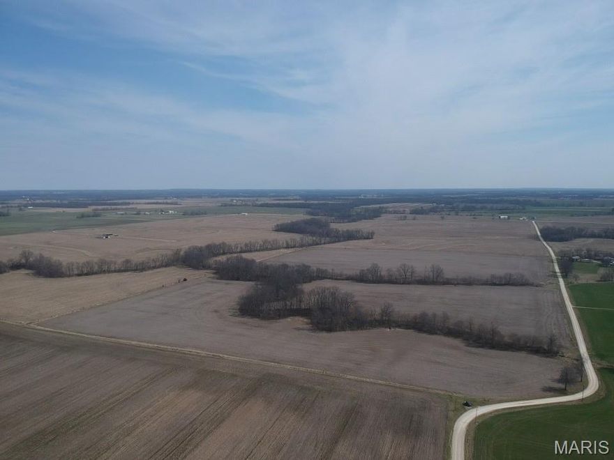 Check out this highly productive 59 acre parcel with 52 of it being tillable! With the majority of the  property made up of Mexico silt loam, this property contains some of the best and highly productive dirt along the Lincoln and Montgomery County line. The 2-4% slopes and 2 waterways help with great water shed so you don't end up with puddling in your fields. There are also several home sites on the property with great privacy and good views from the surounding farms.