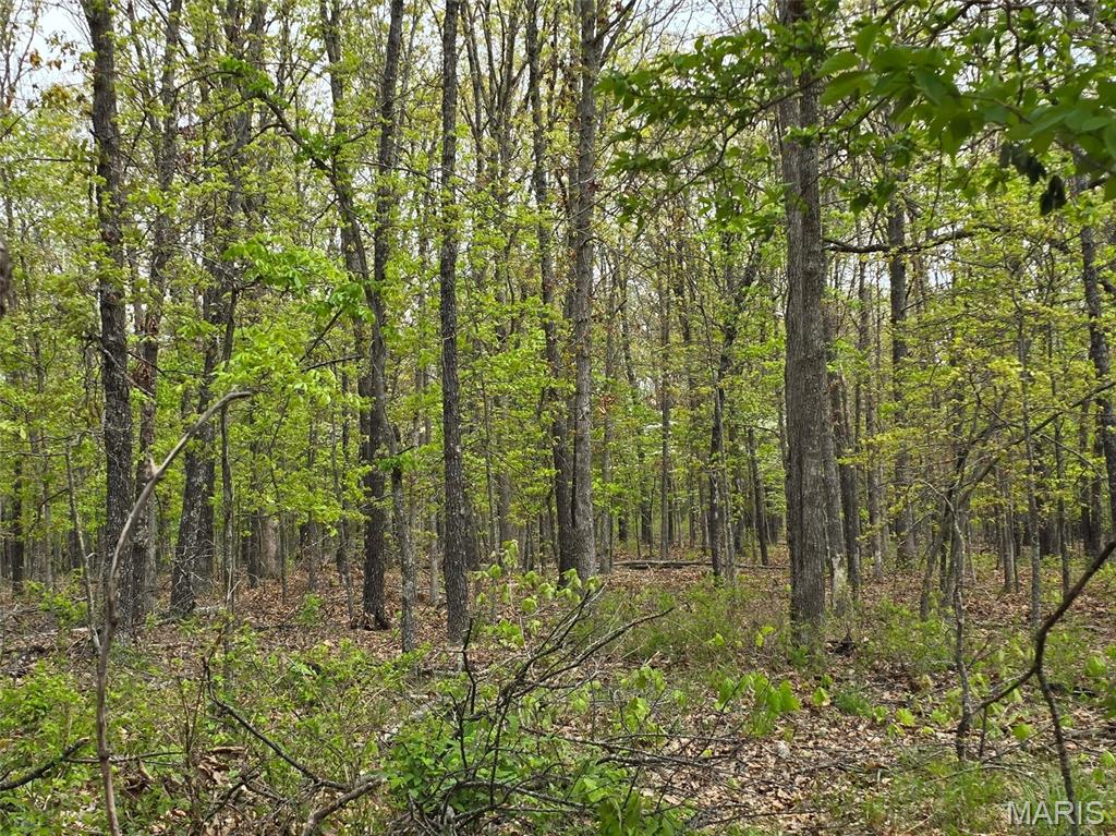 GreatviewLane - Land