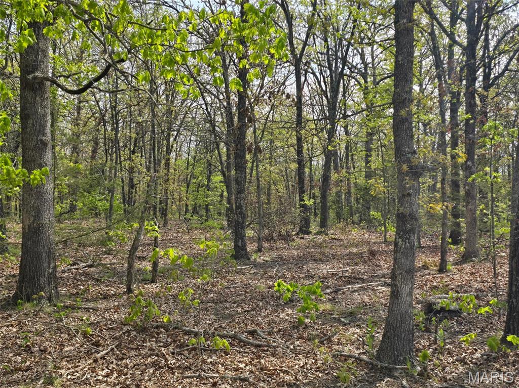 GreatviewLane - Land