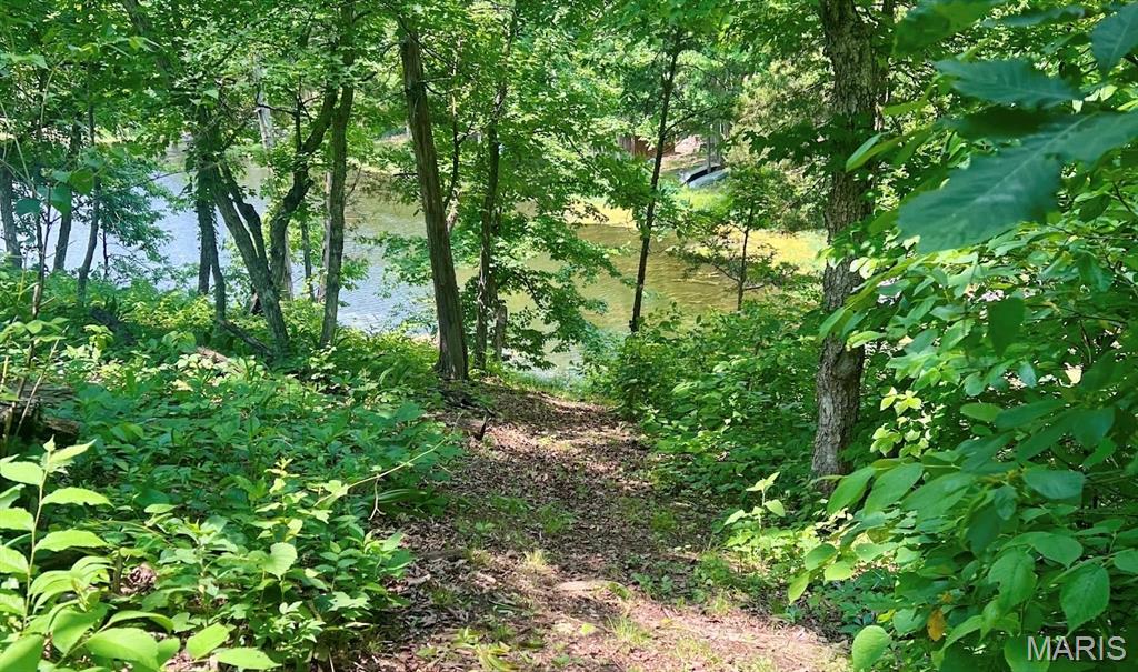 Castaway Cove #2 - Land