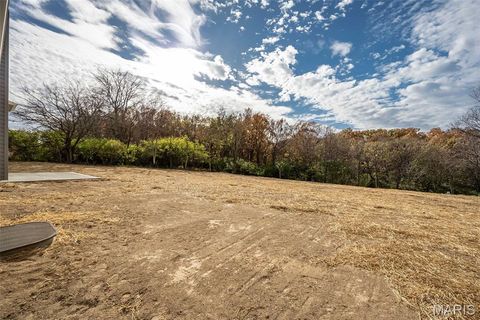 Tiny photo for 171 Sydnorville, Troy, MO 63379 (MLS # 26006684)