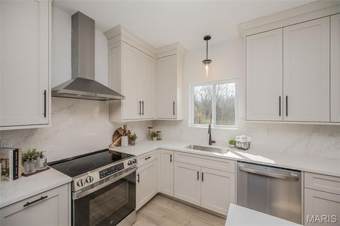 Tiny photo for 171 Sydnorville, Troy, MO 63379 (MLS # 26006684)