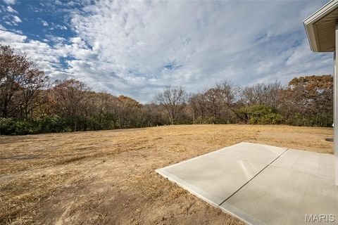 Tiny photo for 171 Sydnorville, Troy, MO 63379 (MLS # 26006684)