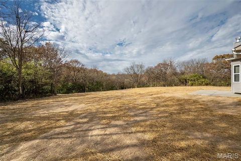 Tiny photo for 171 Sydnorville, Troy, MO 63379 (MLS # 26006684)