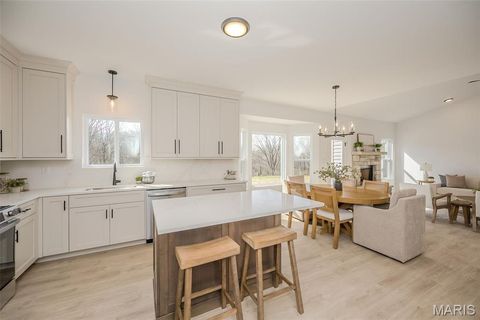 Tiny photo for 171 Sydnorville, Troy, MO 63379 (MLS # 26006684)