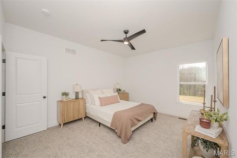 Tiny photo for 171 Sydnorville, Troy, MO 63379 (MLS # 26006684)