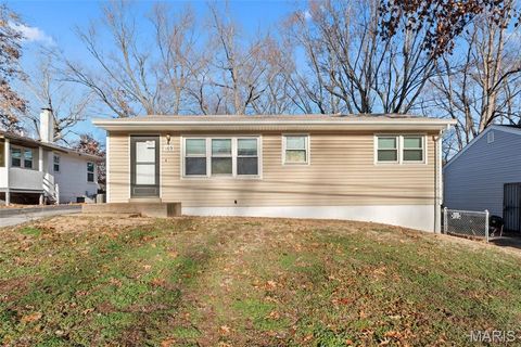 169 Bascom Drive Hazelwood MO 63135
