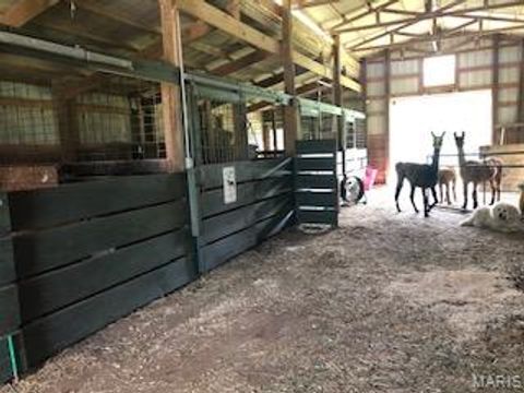 Tiny photo for 38520 Pin Oak Church Road, Truxton, MO 63381 (MLS # 25082687)