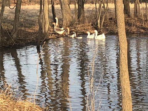 Tiny photo for 38520 Pin Oak Church Road, Truxton, MO 63381 (MLS # 25082687)