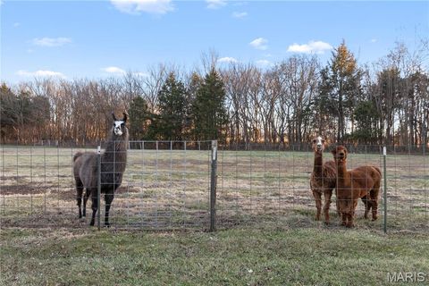Tiny photo for 38520 Pin Oak Church Road, Truxton, MO 63381 (MLS # 25082687)