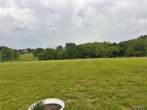Tiny photo for 301 County Road 436, Jackson, MO 63755 (MLS # 26026629)
