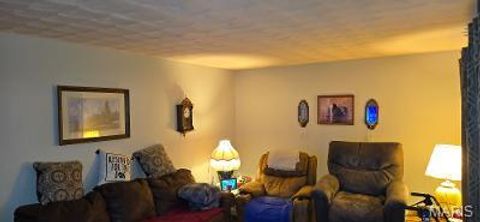 Tiny photo for 315 Smith Street, Farmington, MO 63640 (MLS # 26031191)