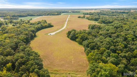 Tiny photo for 136 Otto Court, Silex, MO 63377 (MLS # 26020409)