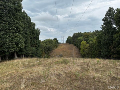Tiny photo for 3924 Pike 43, Bowling Green, MO 63334 (MLS # 26063138)