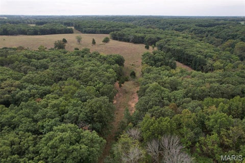 Tiny photo for 3924 Pike 43, Bowling Green, MO 63334 (MLS # 26063138)