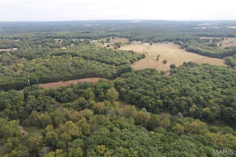 Tiny photo for 3924 Pike 43, Bowling Green, MO 63334 (MLS # 26063138)