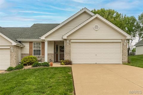 Photo of 4 Quiet Meadow Court, St Peters, MO 63376 (MLS # 26023499)