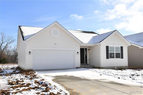 Tiny photo for 537 Apple Orchard Lane Lane, Wentzville, MO 63385 (MLS # 25079431)