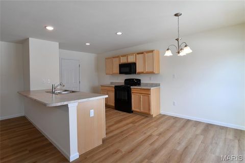 Tiny photo for 537 Apple Orchard Lane Lane, Wentzville, MO 63385 (MLS # 25079431)