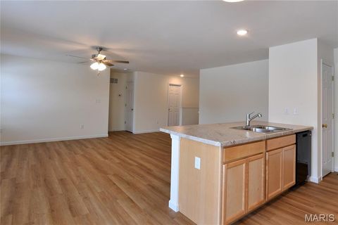 Tiny photo for 537 Apple Orchard Lane Lane, Wentzville, MO 63385 (MLS # 25079431)