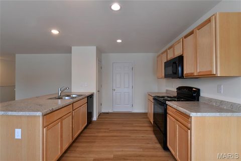 Tiny photo for 537 Apple Orchard Lane Lane, Wentzville, MO 63385 (MLS # 25079431)