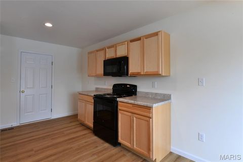 Tiny photo for 537 Apple Orchard Lane Lane, Wentzville, MO 63385 (MLS # 25079431)