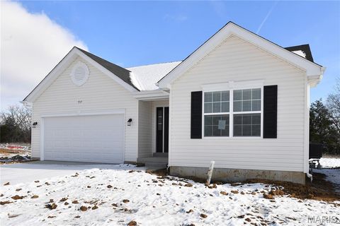 Photo of 537 Apple Orchard Lane Lane, Wentzville, MO 63385 (MLS # 25079431)