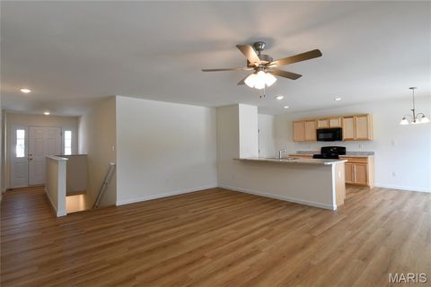 Tiny photo for 537 Apple Orchard Lane Lane, Wentzville, MO 63385 (MLS # 25079431)