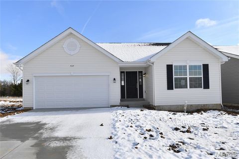 Tiny photo for 537 Apple Orchard Lane Lane, Wentzville, MO 63385 (MLS # 25079431)
