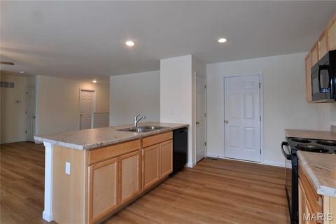 Tiny photo for 537 Apple Orchard Lane Lane, Wentzville, MO 63385 (MLS # 25079431)