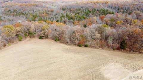 Tiny photo for 4 Polston Ln, Marthasville, MO 63357 (MLS # 25077449)