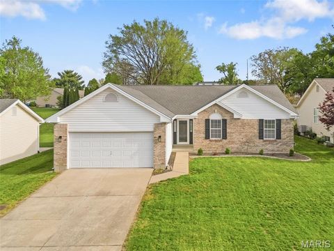 Photo of 41 McClay Trail Drive, St Peters, MO 63376 (MLS # 26020729)