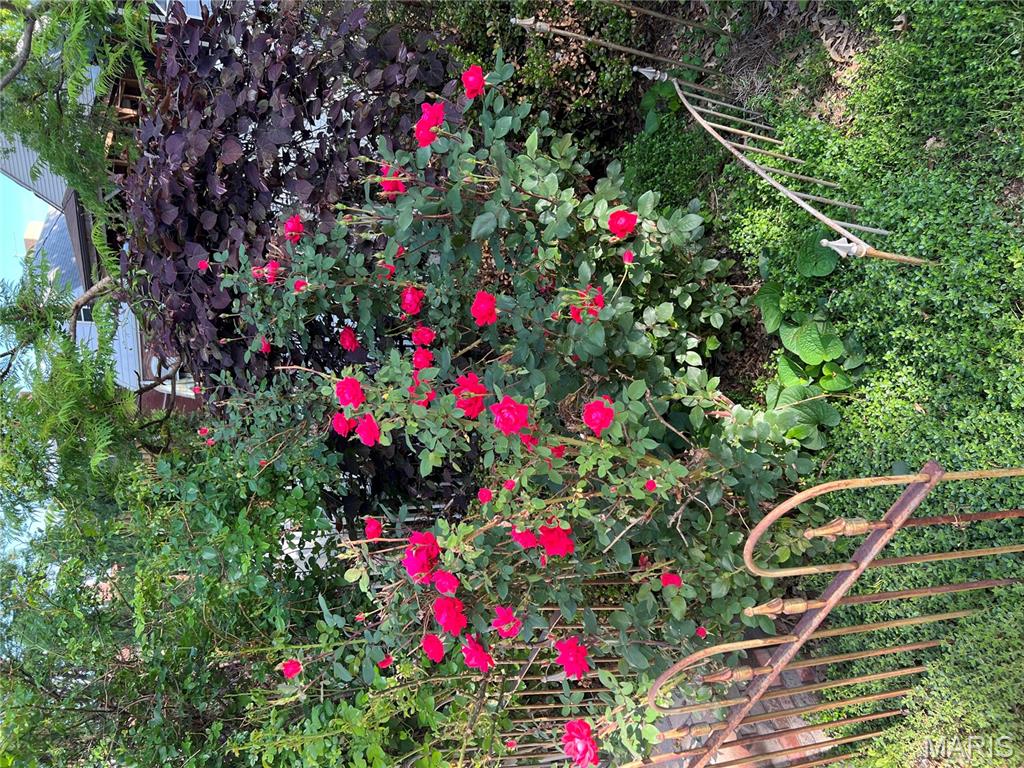 Crescent Ave - Residential