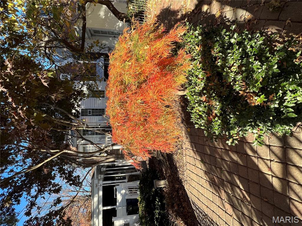 Crescent Ave - Residential