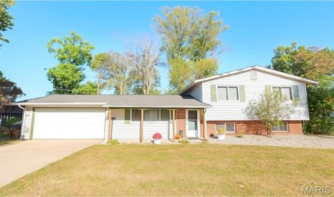 Photo of 1030 Meadowbrook Drive, Troy, MO 63379 (MLS # 25069443)