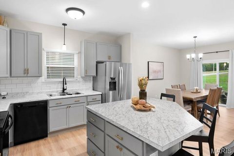 Tiny photo for 3035 Koch Lane, Washington, MO 63090 (MLS # 25069408)